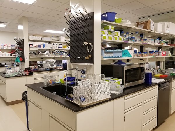 Bai Lab