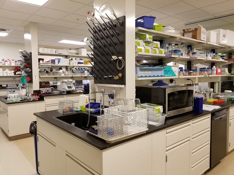 Bai Lab